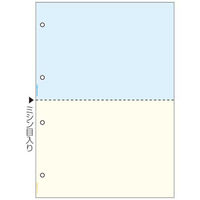 ヒサゴ プリンタ帳票限定 A4カラー