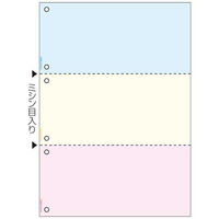 ヒサゴ プリンタ帳票限定 A4カラー3面6穴 2500枚 BPJ2013WZ 1箱（直送品）