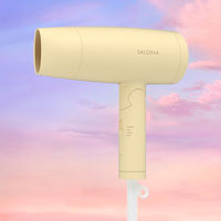 数量限定　SALONIA（サロニア）　スピーディーイオンドライヤー メロウクリームイエロー I-ne