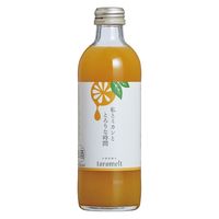 國盛 toromelt トロメルト 私とミカンととろりな時間 果汁50％ 300ml 1本 リキュール