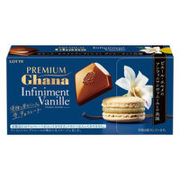 プレミアムガーナ　生チョコレート＜アンフィニマン ヴァニーユ＞ 1個 ロッテ チョコレート（わけあり品）