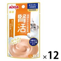 腎活 1歳頃からシニア猫まで まぐろとささみペースト 国産 40g 1セット（1袋×12）アイシア キャットフード 猫用