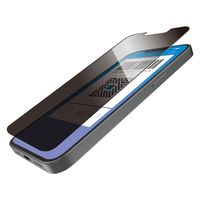 iPhone 16e ガラスフィルム 高透明 覗き見防止 左右視線ブロック PM-A25SFLGGPF2 エレコム 1個（直送品）