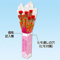 アルファ カーネーション店頭販売キット MA1-2000 1セット（直送品）
