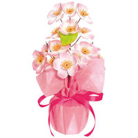 アルファ 桜ラッピングポット SP1-0044 1個（直送品）