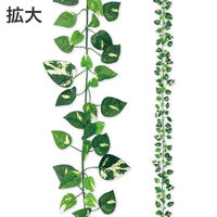 アルファ ニューポトスガーランド TI8-0202 1本（直送品）