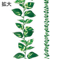 アルファ ポトスガーランド TR8-2004 1本（直送品）