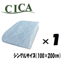 1 CICAjbgbtێ~pbh u[ 100×200cm VO 4582243778527-BL-1iij