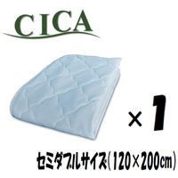 1 CICAjbgbtێ~pbh u[ 120×200cm Z~_u 4582243778541-BL-1iij
