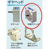 住友重機械工業　ASTERO/アステロ　中間ギヤヘッド　G9AXH10　1台（直送品）