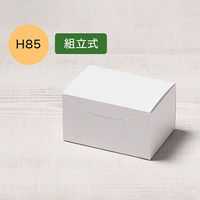 TKVL nwJbgP[L N1 SS H85 4582673772843 1Zbg(1(100)×2)iij