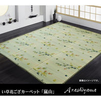 イケヒコ・コーポレーション(IKEHIKO) い草ラグ／ござ 通販