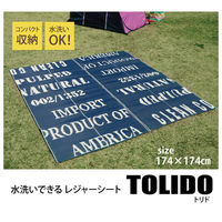 イケヒコ トリド ポリプロピレンカーペット 江戸間2畳 1740×1740mm 1090300003604 1枚（直送品）