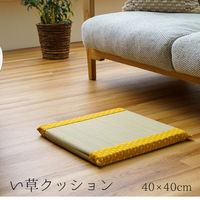 い草座布団 クッションの人気商品・通販・価格比較 - 価格.com い草座布団 クッションの人気商品・通販・価格比較 - 価格.com
