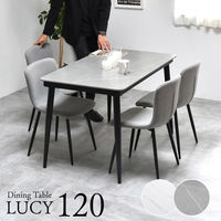 【軒先渡し】B.Bファニシング LUCY ダイニングテーブル 幅1200×奥行690×高さ730mm LUDT0277CEWHT 1台（直送品）