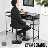 B.Bファニシング セラビル カウンターテーブル CETB0275CE
