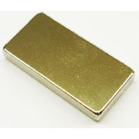GB 磁石(長方形) F20X10X3 1個（直送品）