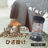 ギフト包装】 泉州匠の彩 カシミヤ入ウール綿毛布（毛羽部分