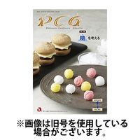 PCG（ピーシージー） 2025/05/01発売号から1年(12冊)(雑誌)（直送品）