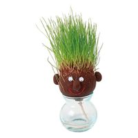 チャーム （観葉植物）ユッカ リギダ 5号（1鉢） 345191（直送