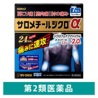 筋肉痛 パスタイムZX | 祐徳薬品工業株式会社