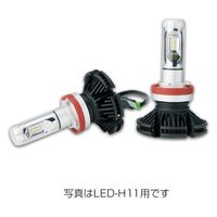 データシステム LEDバルブ<輝>HB3/HB4兼用タイプ LED-HB3 1箱(1台分)（直送品）