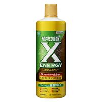 y|pizZFw| w[GiW[ 600ml 1{