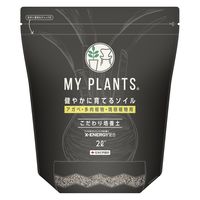 y|pizZFw| MY PLANTS₩ɈĂ\CAKxp 2L 1