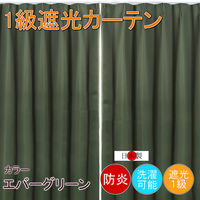 フォレストリンク 防炎遮光1級 カーテン グリーン cu1108egn