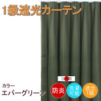 フォレストリンク 防炎遮光1級 カーテン 2000×1500mm グリーン cu1108egn-200-150-1 1枚（直送品）