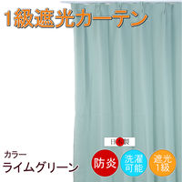 フォレストリンク 防炎遮光1級 カーテン 2000×2000mm グリーン cu1108lime-200-200-1 1枚（直送品）