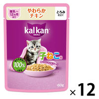 【訳あり】ロイヤルカナン 腎臓サポート 4kg 猫 ロイヤルカナン キャットフード 猫用 療法食 腎臓サポート 4kg 1