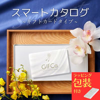 [ J^OMtg J[h^ MtJ 15000|Cg bsOL PG15000 1iij