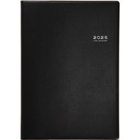 高橋書店 【2025年4月版】デスクダイアリー A5 見開き1週間 月曜始まり 黒 911 1冊（直送品）