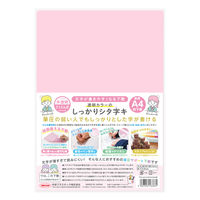 hvX`bN  ~ J[̂V^L A4  TCS-A4-CH 1Zbg(1×5)iij