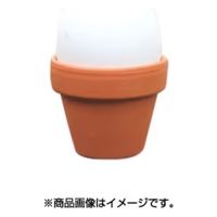 [Lb` fẴGbOX^h 3Zbg EUREGGCUP3P 1iij
