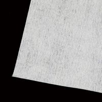 Berkshire クリーンルームワイパー γ線滅菌済 1枚構造 1袋(20枚入) GW67.ST.25P 1袋(20枚)（直送品）