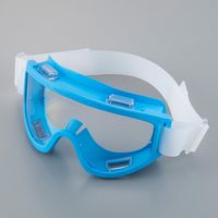 アズワン オートクレーブ対応保護ゴーグル(滅菌可) 3-6382-12 1個（直送品）