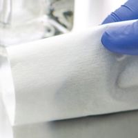 クリーンルームワイパー γ線滅菌済 変性エタノール70%・純水30% 1袋(30枚入) SSPVP001E12P 1袋(30枚)（直送品）