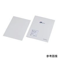 凍結表面用超低温ラベル 31.0×22.0mm 1パック(72枚/シート×16シート入) A4LCS-9WH 1パック(1152枚)（直送品）