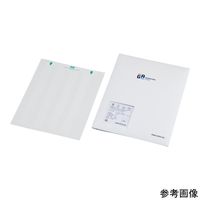 セルフラミネート低温オートクレーブラベル(白+透明)25.4×15.2+15.9mm 1パック(160×16シート入) DFSL-62WH（直送品）