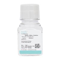 Elabscience MEM必須アミノ酸溶液(50×) PB180425 1本 83-2840-32（直送品）