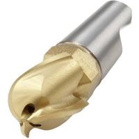 セコ・ツールズ・ジャパン セコ フライス ミニマスターヘッド MM16 F30M MM16-16019-B90A30-E06 1個（直送品）