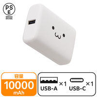 oCobe[ 10000mAh e USB-C×1 A×1 낿 EC-C41LWF GR 1iij