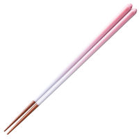 CV_  23cm F ׂ~ ؐ Ă 455016 1iij