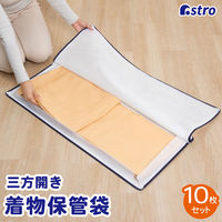 AXg OЂ炫t@Xi[ۊǑ 10g 173-11 1Zbg(10)iij