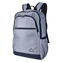 スワン SIERRA FIELD AD ミニDリュック 2230 19L グレー 1個（直送品）