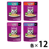（お得なアソート）カルカン 成猫用 キャットフード パウチ ミックスシリーズ 48袋（12袋×4種）ウェット