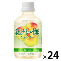 |bJTb|t[hrobW IB̔~EH[^[ 270ml 1i24{j