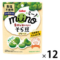 そら豆　MS10kg（箱込み）専用品 カルビー miino そら豆しお味 4901330803544 1セット(28g×24個